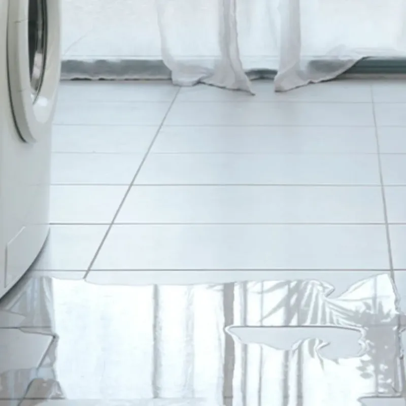Appliance Leak Cleanup in Denton, MD