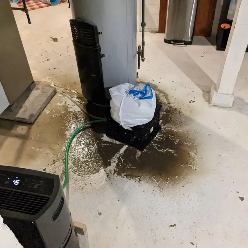 Sewage Backup Cleanup Service in Denton, MD